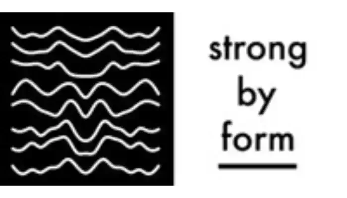 Strong by Form logo